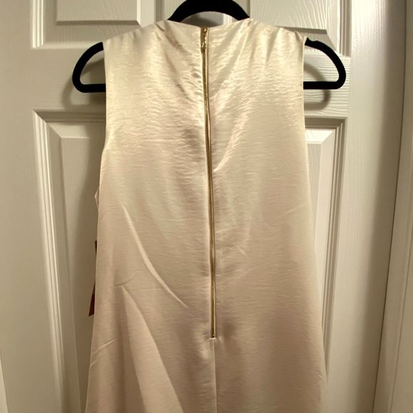 Rachel Rachel Roy Champagne Sheath Dress with Asymmetrical Fringe - Picture 3 of 4